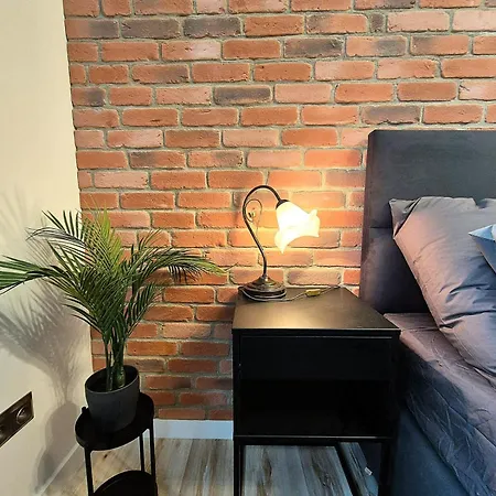 شقة Apartament W Kamienicy Na Zablociu كراكوفيا